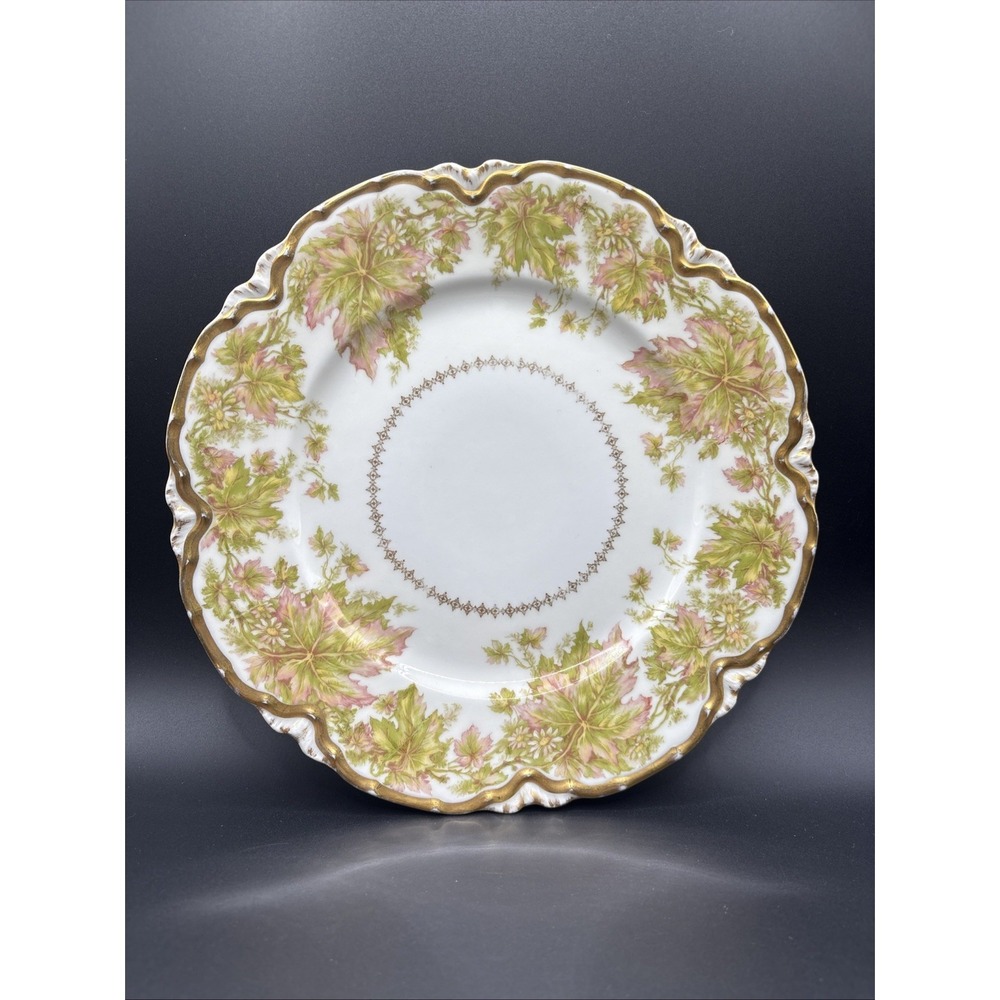 Antique Haviland Limoges Schleiger 930A Dinner Plate Pettis Dry Goods